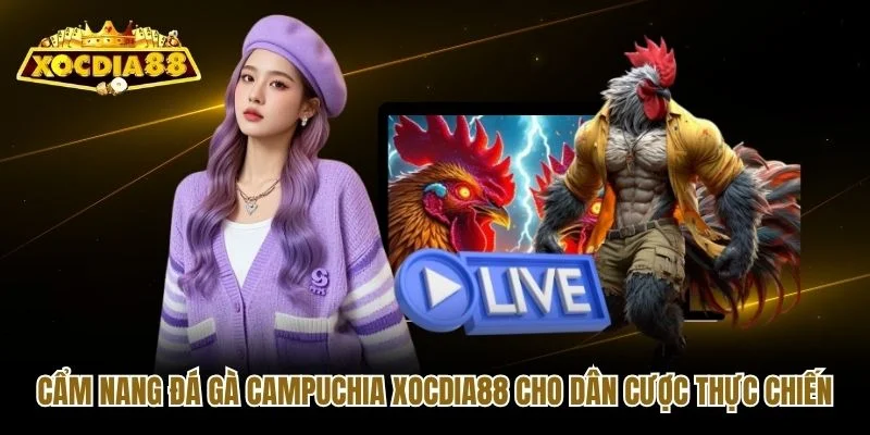 Cẩm Nang Đá Gà Campuchia Xocdia88 Cho Dân Cược Thực Chiến