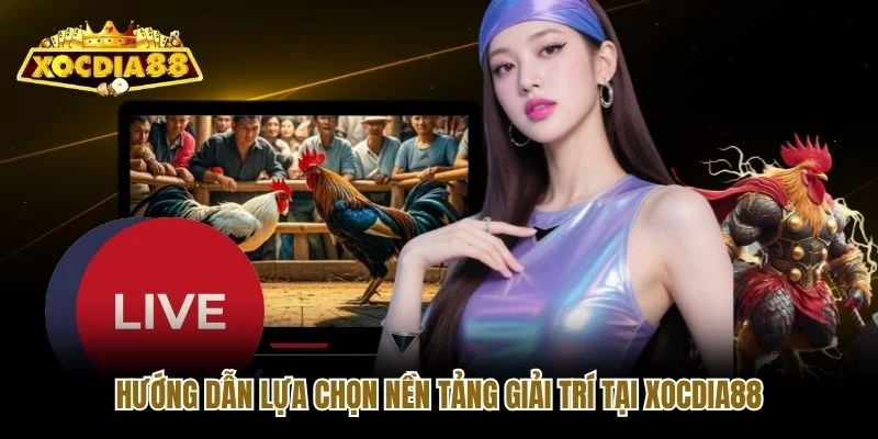 Hướng dẫn lựa chọn nền tảng giải trí tại Xocdia88 Hướng dẫn lựa chọn nền tảng giải trí tại Xocdia88
