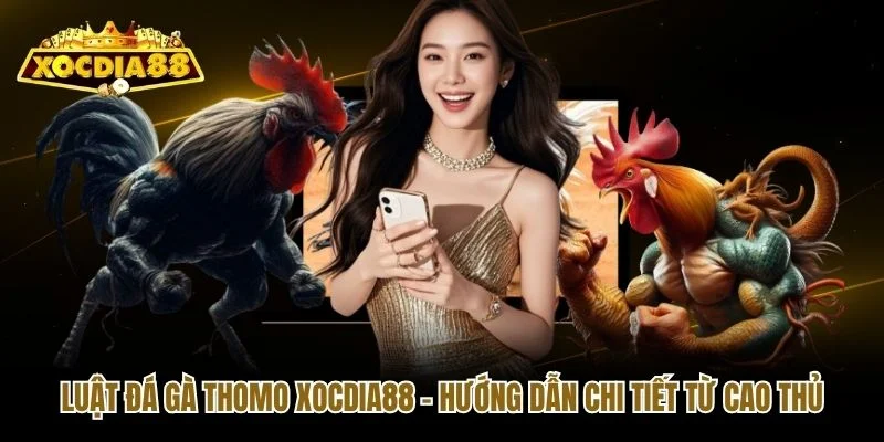 Luật Đá Gà Thomo Xocdia88 - Hướng Dẫn Chi Tiết Từ Cao Thủ
