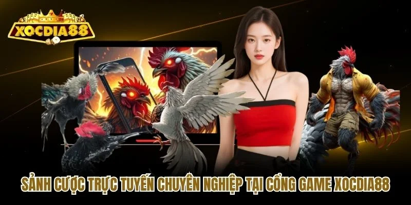 Sảnh cược trực tuyến chuyên nghiệp tại cổng game Xocdia88