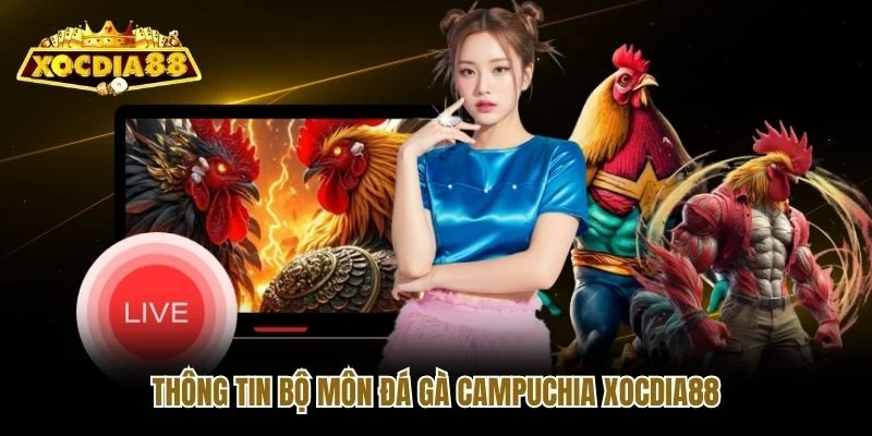Thông tin bộ môn đá gà Campuchia Xocdia88 Thông tin bộ môn đá gà Campuchia Xocdia88