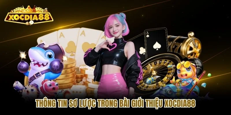 Thông tin sơ lược trong bài giới thiệu Xocdia88 Thông tin sơ lược trong bài giới thiệu Xocdia88