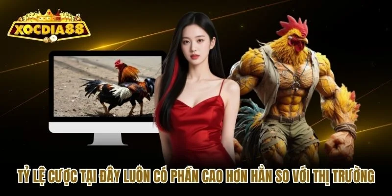 Tỷ lệ cược tại đây luôn có phần cao hơn hẳn so với thị trường Tỷ lệ cược tại đây luôn có phần cao hơn hẳn so với thị trường